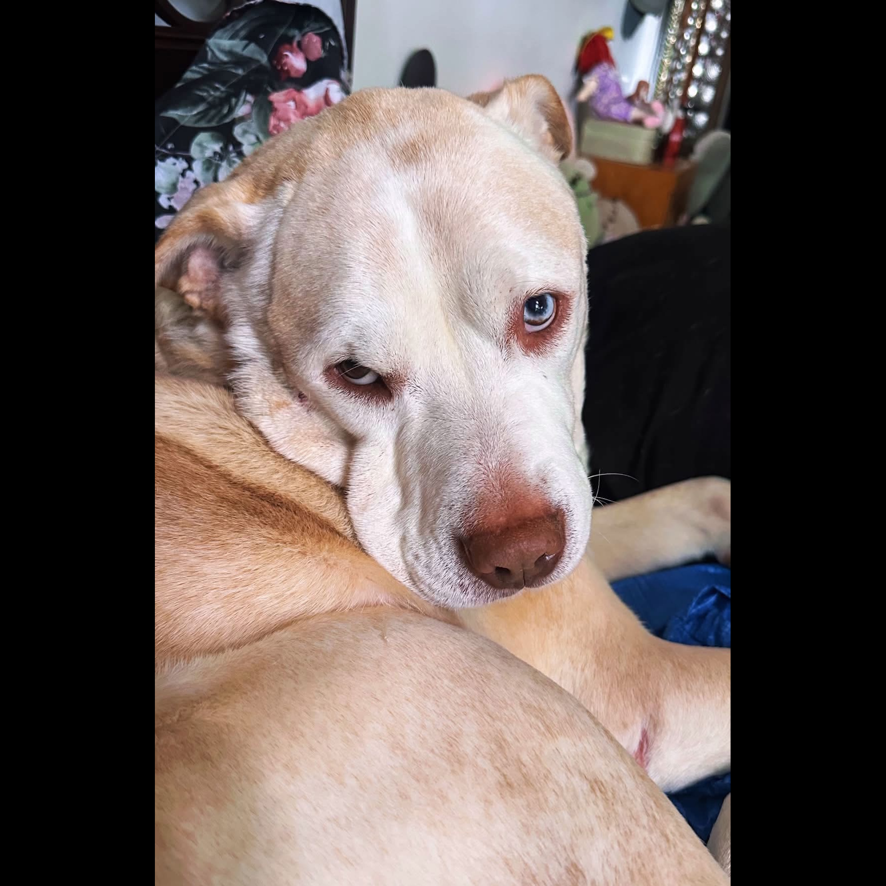 Porty